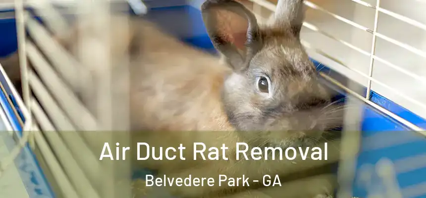  Air Duct Rat Removal Belvedere Park - GA