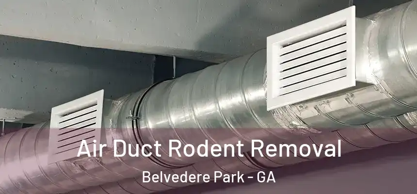 Air Duct Rodent Removal Belvedere Park - GA