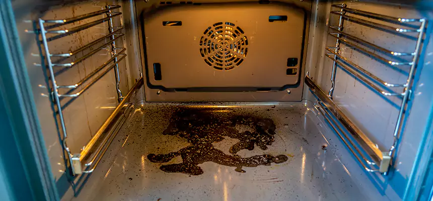 Our Dryer Vent Mold Cleaning Services in Belvedere Park, GA