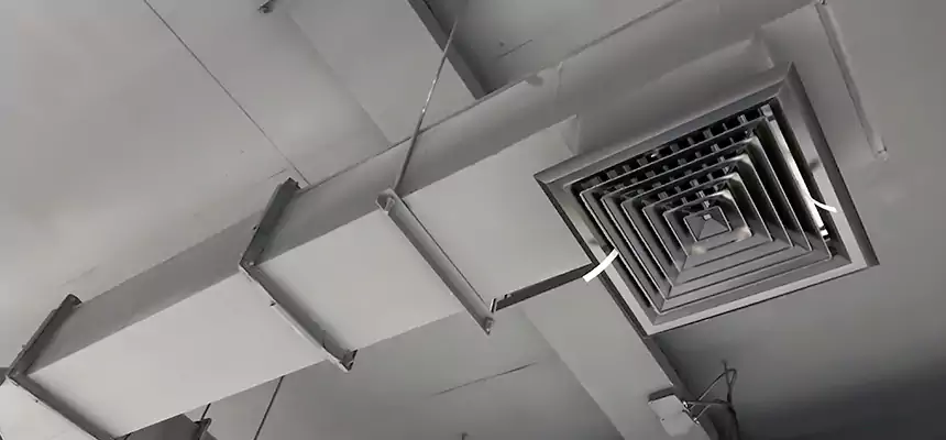 Our Rodent Droppings In Vents Services in Belvedere Park, GA