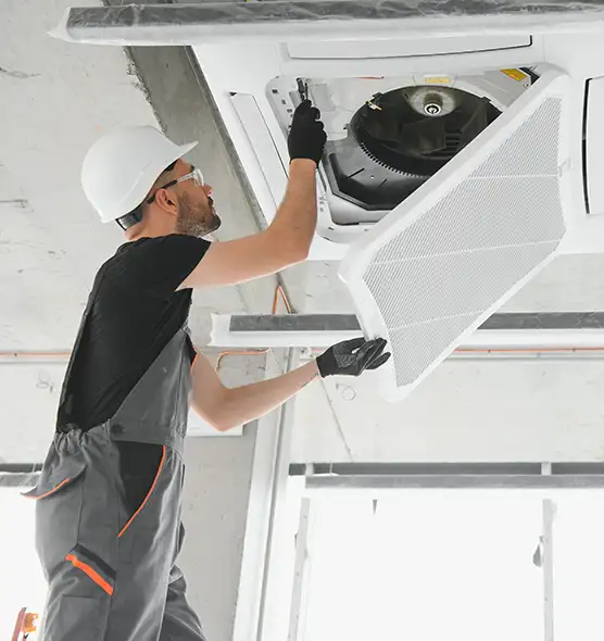 About Air Duct Rodent Removal in Belvedere Park, GA