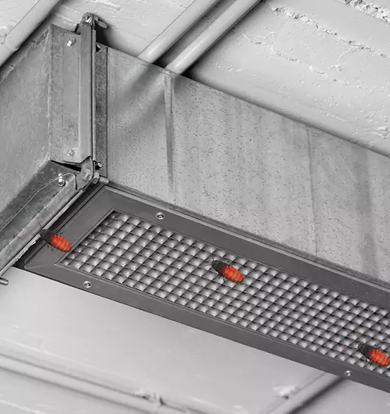 Affordable Insect Removal from Air Ducts in Belvedere Park, GA