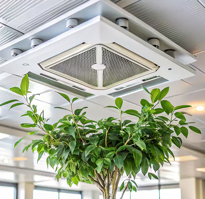 Why Homeowners & Businesses Trust Us in Belvedere Park, GA