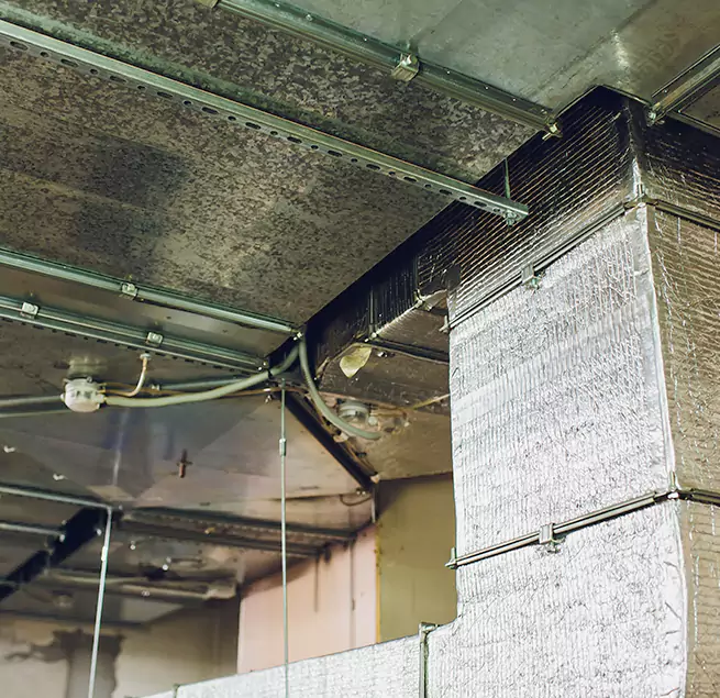 Why Homeowners & Businesses Trust Us in Belvedere Park, GA?